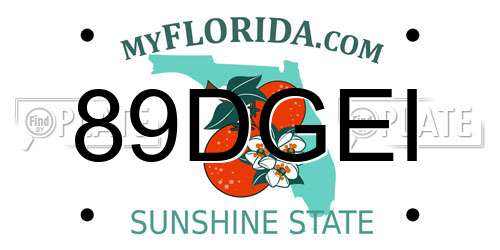 89DGEI Florida License Plate