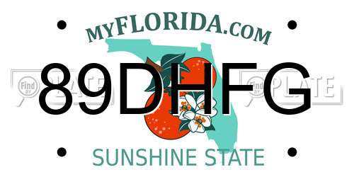 89DHFG Florida License Plate