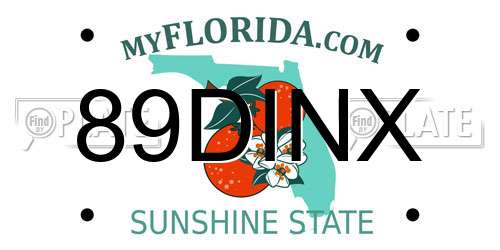 89DINX Florida License Plate