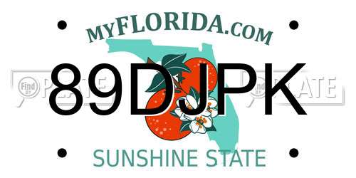 89DJPK Florida License Plate