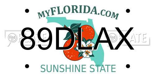 89DLAX Florida License Plate