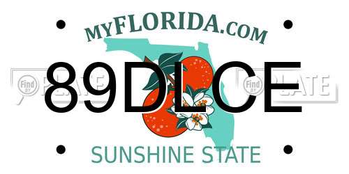89DLCE Florida License Plate