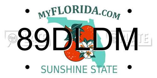 89DLDM Florida License Plate