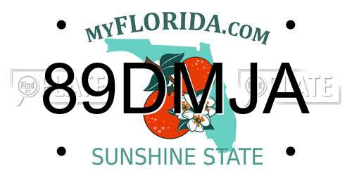 89DMJA Florida License Plate