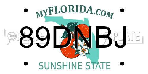 89DNBJ Florida License Plate