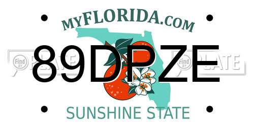 89DPZE Florida License Plate