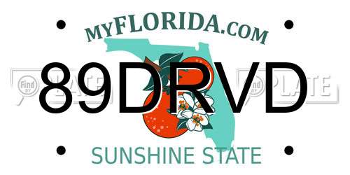 89DRVD Florida License Plate