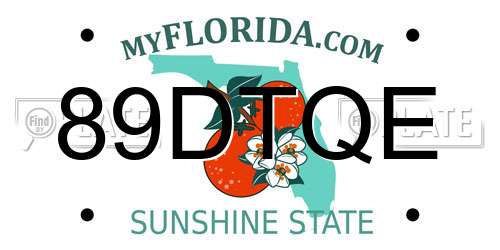 89DTQE Florida License Plate