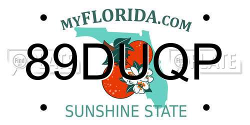 89DUQP Florida License Plate