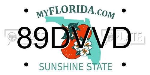 89DVVD Florida License Plate