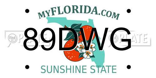 89DWG Florida License Plate