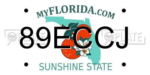 89ECCJ Florida License Plate