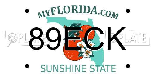 89ECK Florida License Plate