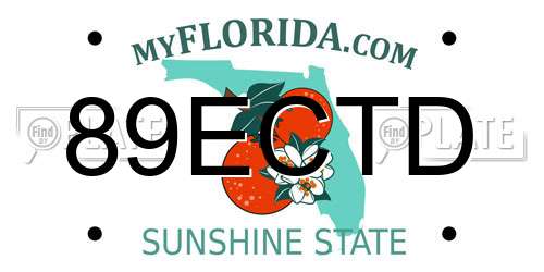 89ECTD Florida License Plate