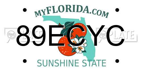 89ECYC Florida License Plate
