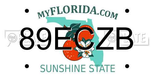 89ECZB Florida License Plate