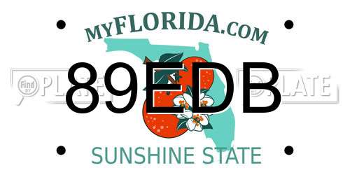 89EDB Florida License Plate