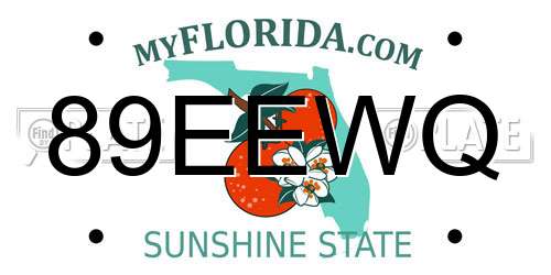 89EEWQ Florida License Plate