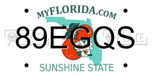 89EGQS Florida License Plate