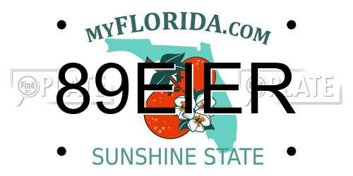 89EIER Florida License Plate