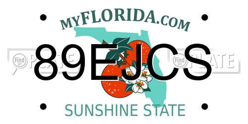 89EJCS Florida License Plate