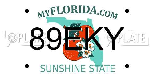 89EKY Florida License Plate