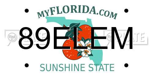 89ELEM Florida License Plate