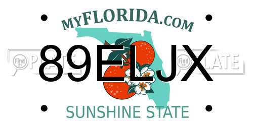 89ELJX Florida License Plate