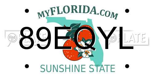 89EQYL Florida License Plate