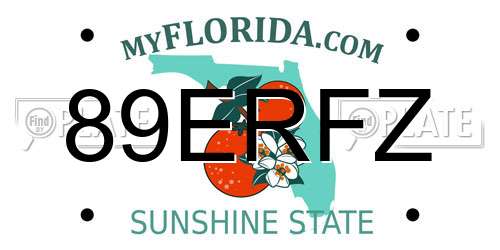 89ERFZ Florida License Plate