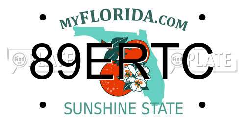 89ERTC Florida License Plate