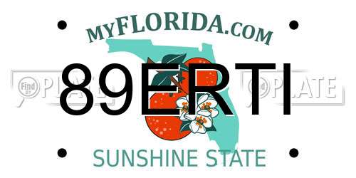 89ERTI Florida License Plate