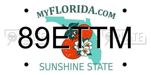 89ETTM Florida License Plate
