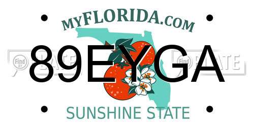 89EYGA Florida License Plate