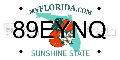 89EYNQ Florida License Plate