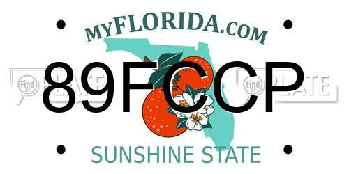 89FCCP Florida License Plate