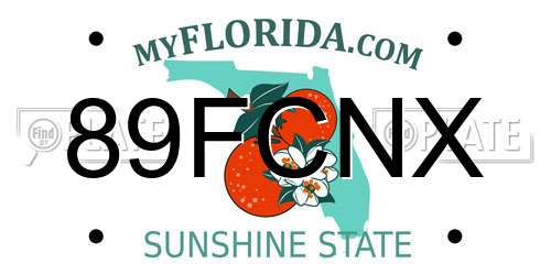 89FCNX Florida License Plate