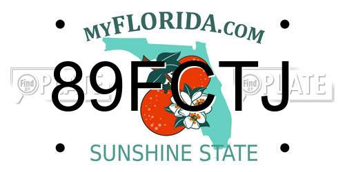 89FCTJ Florida License Plate