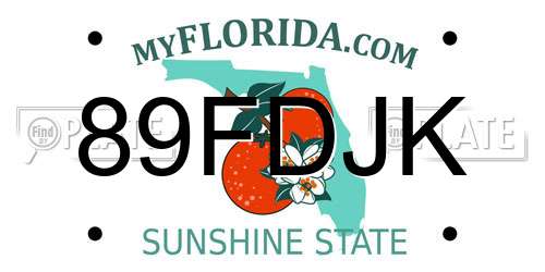 89FDJK Florida License Plate