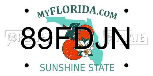 89FDJN Florida License Plate