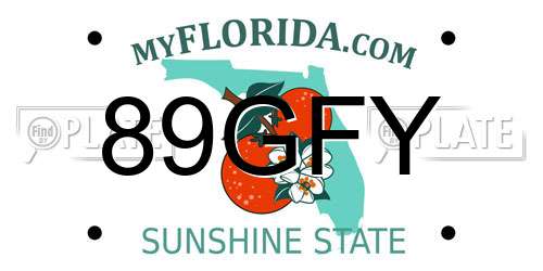 89GFY Florida License Plate