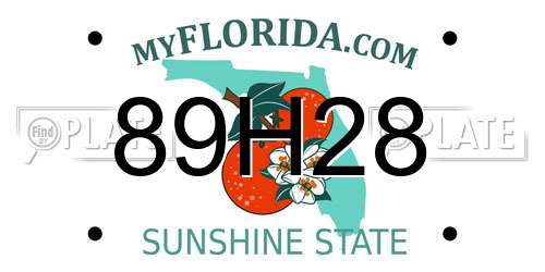 89H28 Florida License Plate