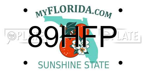 89HFP Florida License Plate
