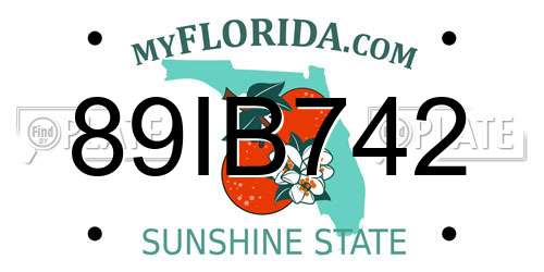 89IB742 Florida License Plate