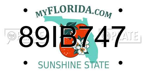 89IB747 Florida License Plate