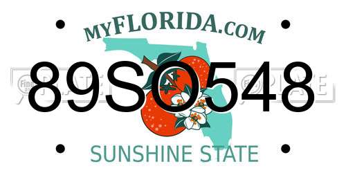 89SO548 Florida License Plate