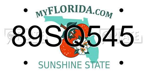 89SQ545 Florida License Plate