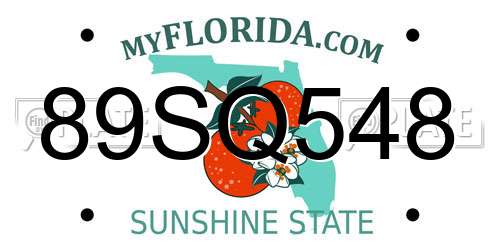 89SQ548 Florida License Plate