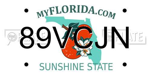 89VCJN Florida License Plate