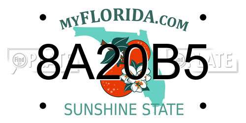 8A20B5 Florida License Plate